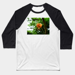 Carolina lily upside down flower Baseball T-Shirt